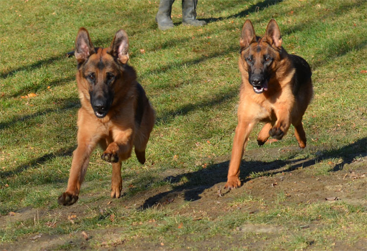 Vidal et Holy 6 Novembre 2011